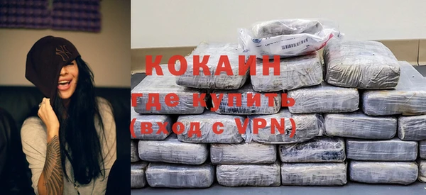 крисы Горняк
